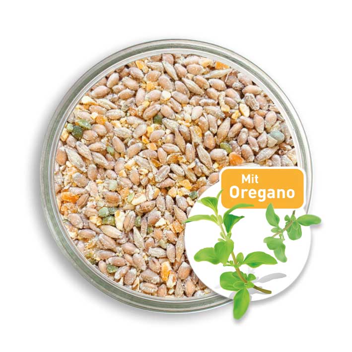 Bio-Körnermischung aus Getreideschrot mit Oregano-Öl in der Petrischale. 