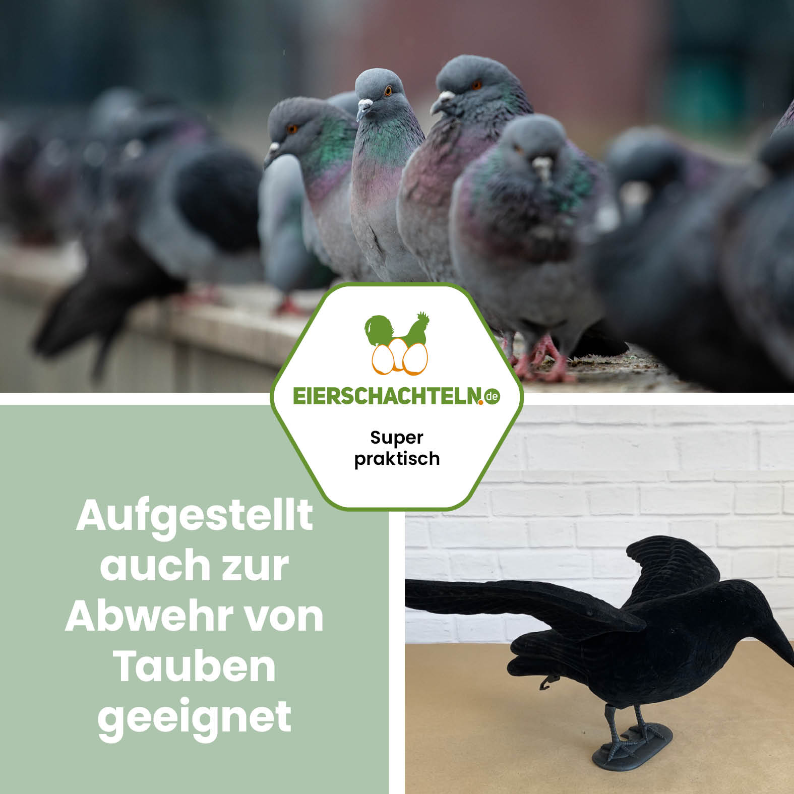 Krähenattrappe – Abwehr gegen Krähen und andere Vögel