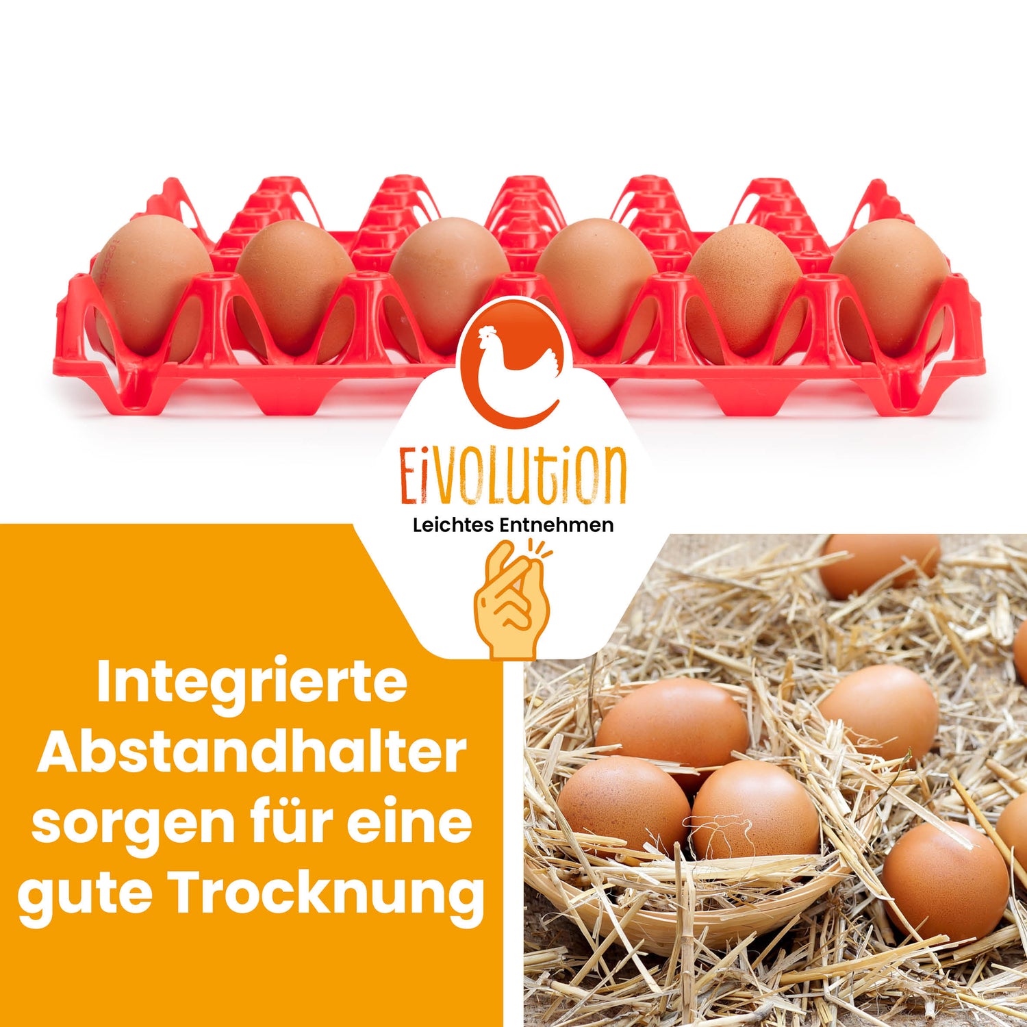 eivolution Höckerlagen, rot "Integrierte Abstandhalter sorgen für eine gute Trocknung"