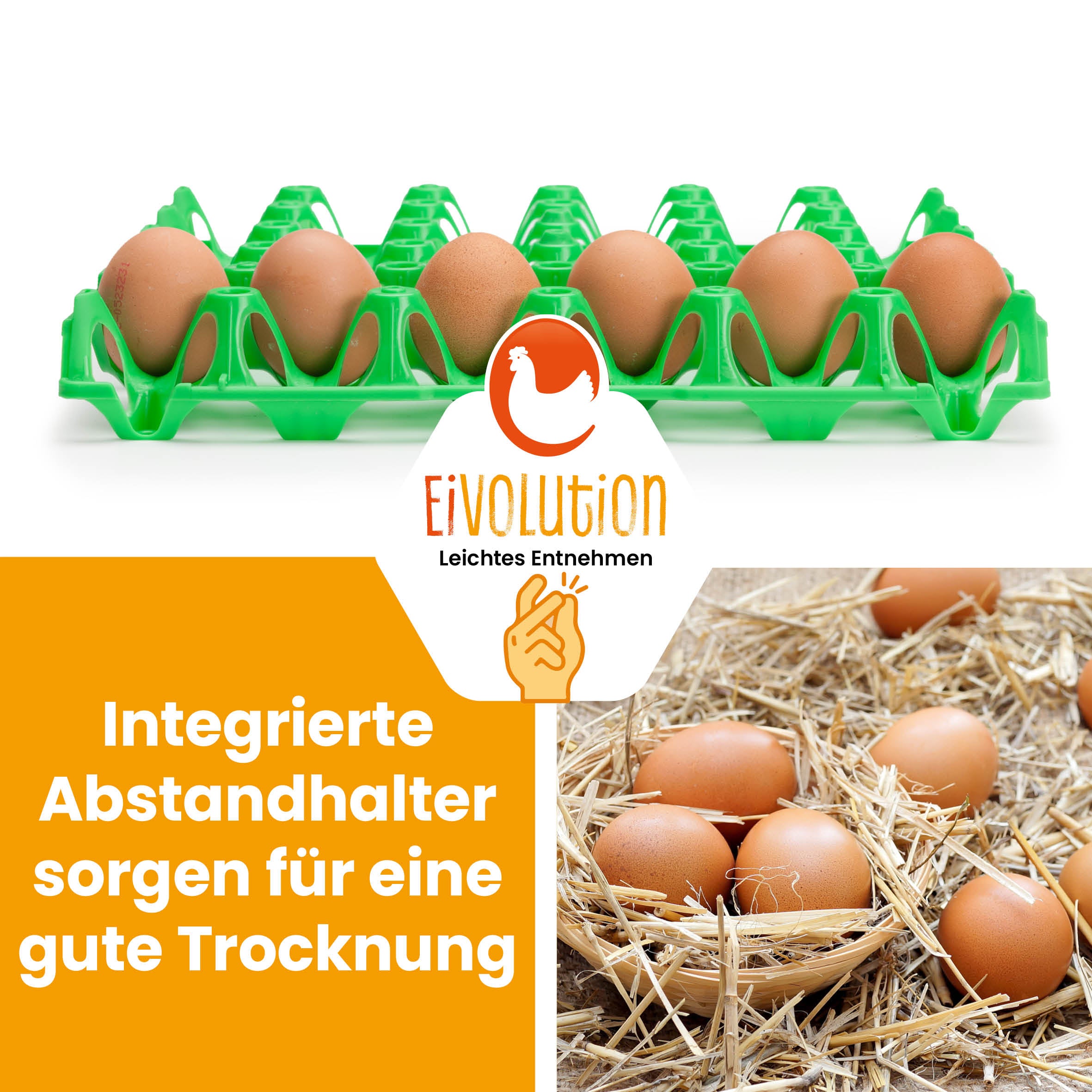 eivolution Höckerlagen, grün "Integrierte Abstandhalter sorgen für eine gute Trocknung"