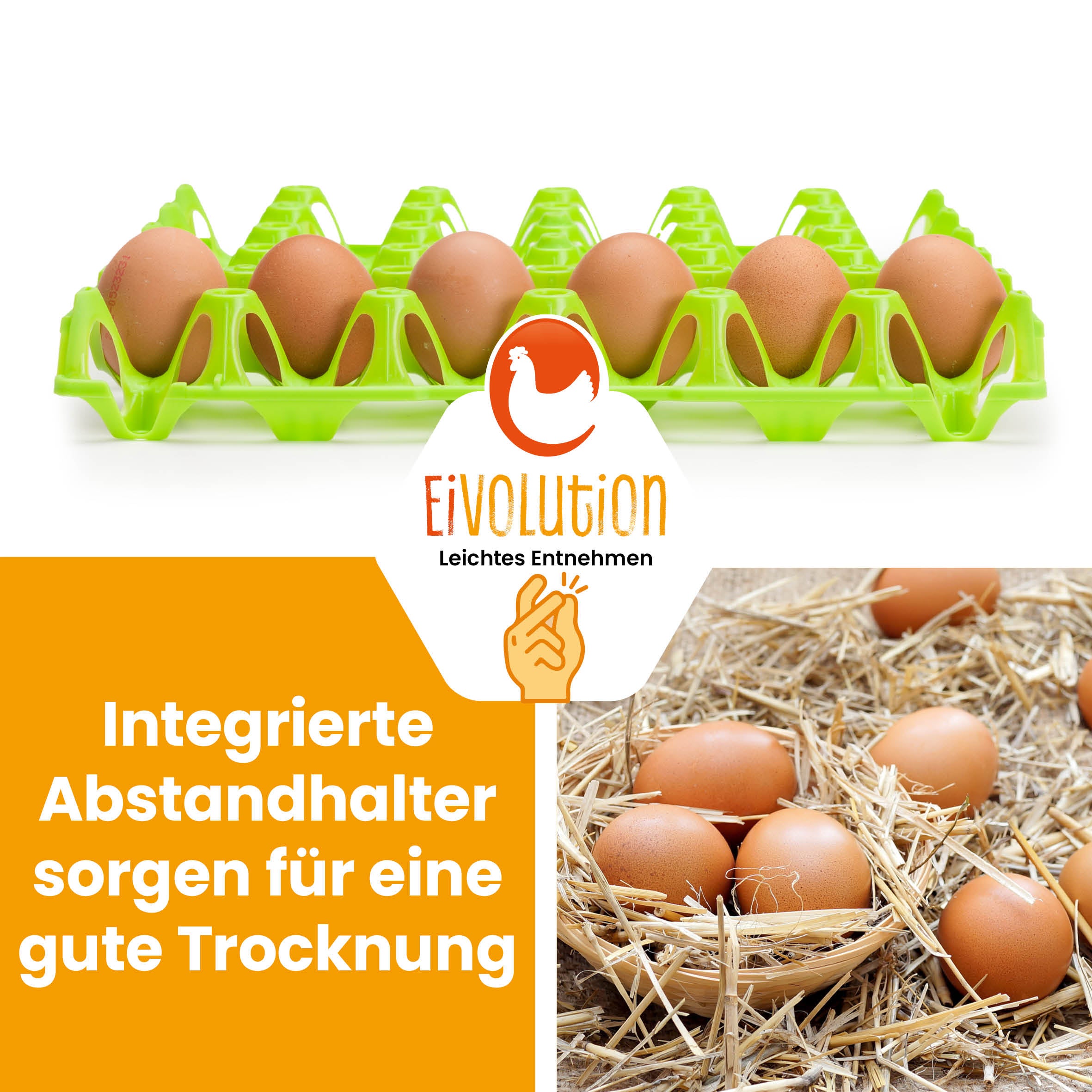eivolution Höckerlagen, hellgrün "Integrierte Abstandhalter sorgen für eine gute Trocknung"