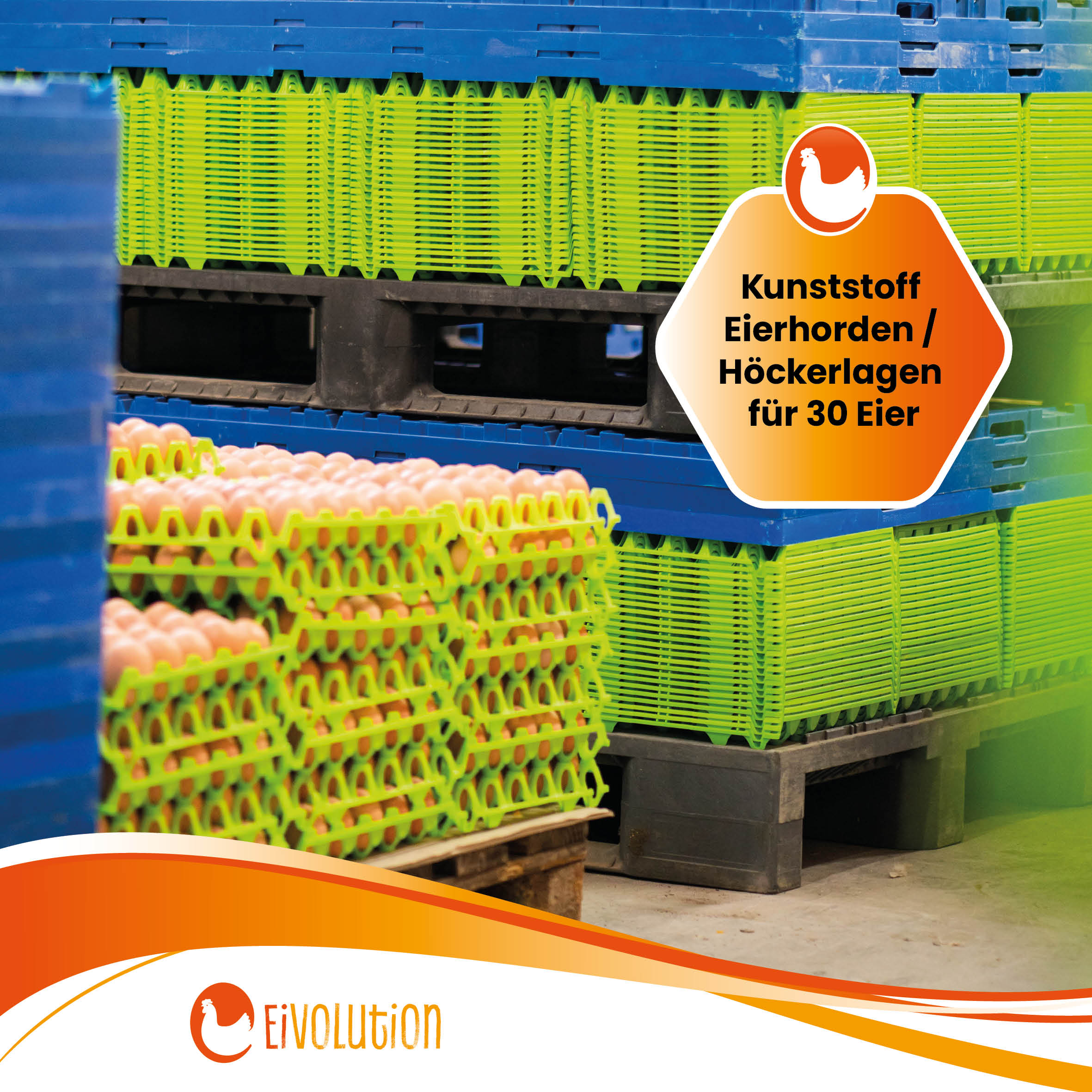 eivolution Höckerlagen "Kunststoff Eierhorden/ Höckerlagen für 30 Eier" 