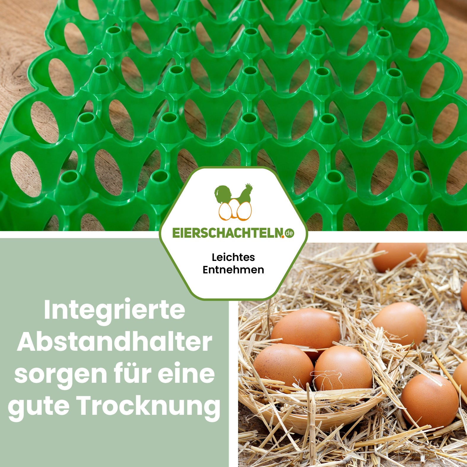 Kunststoff-Eierhorden Grün &amp; Rosa "Integrierte Abstandhalter sorgen für eine gute Trocknung"