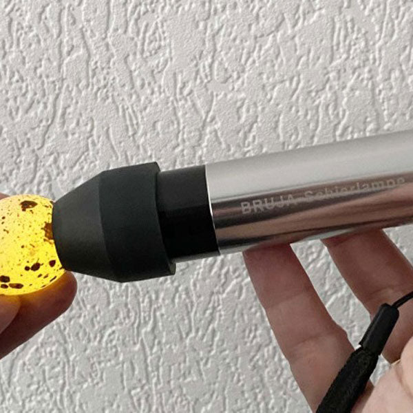 Kabellose COB LED Schierlampe, mit Wachtelei  