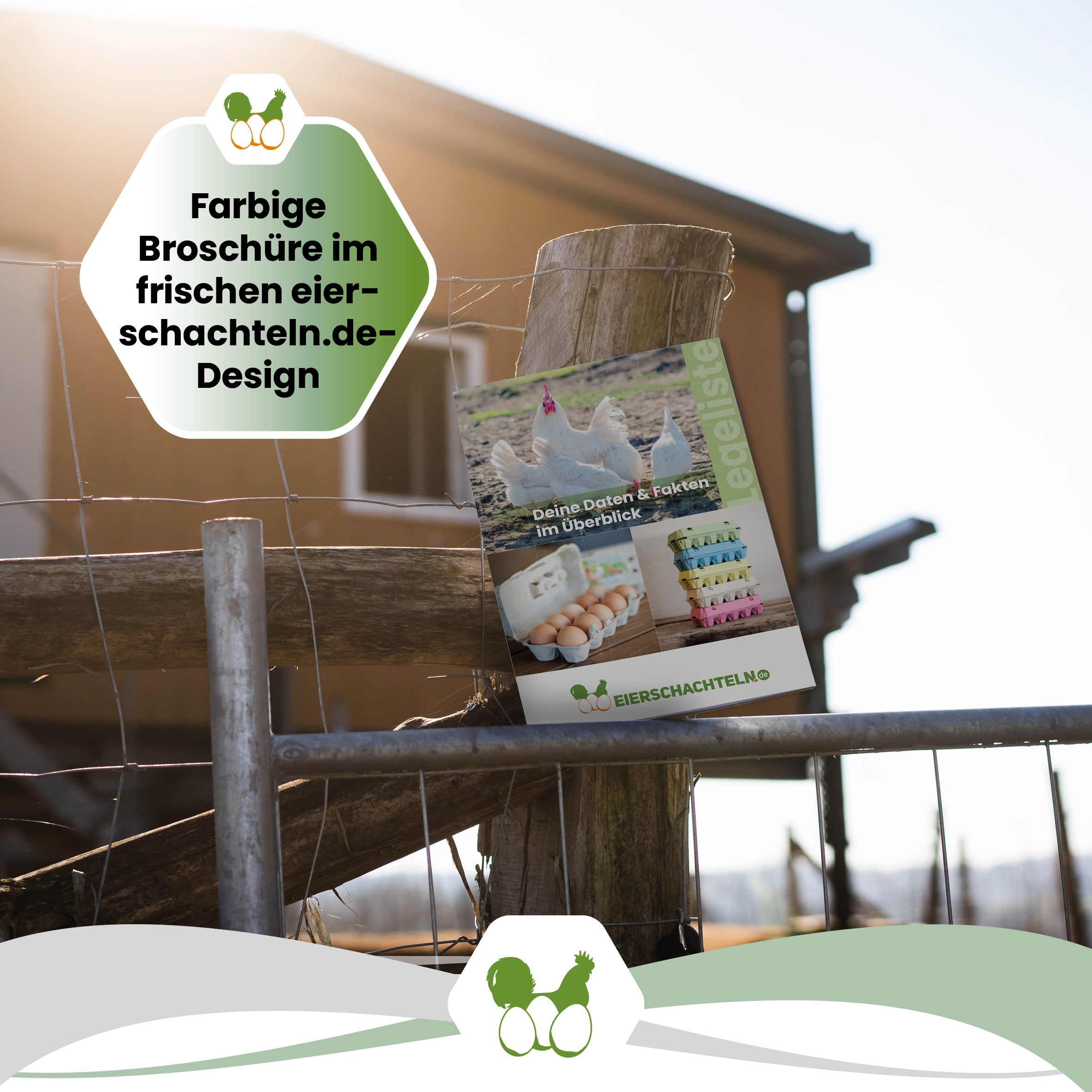 Legeliste "Farbige Broschüre im frischen eierschachteln.de Design"