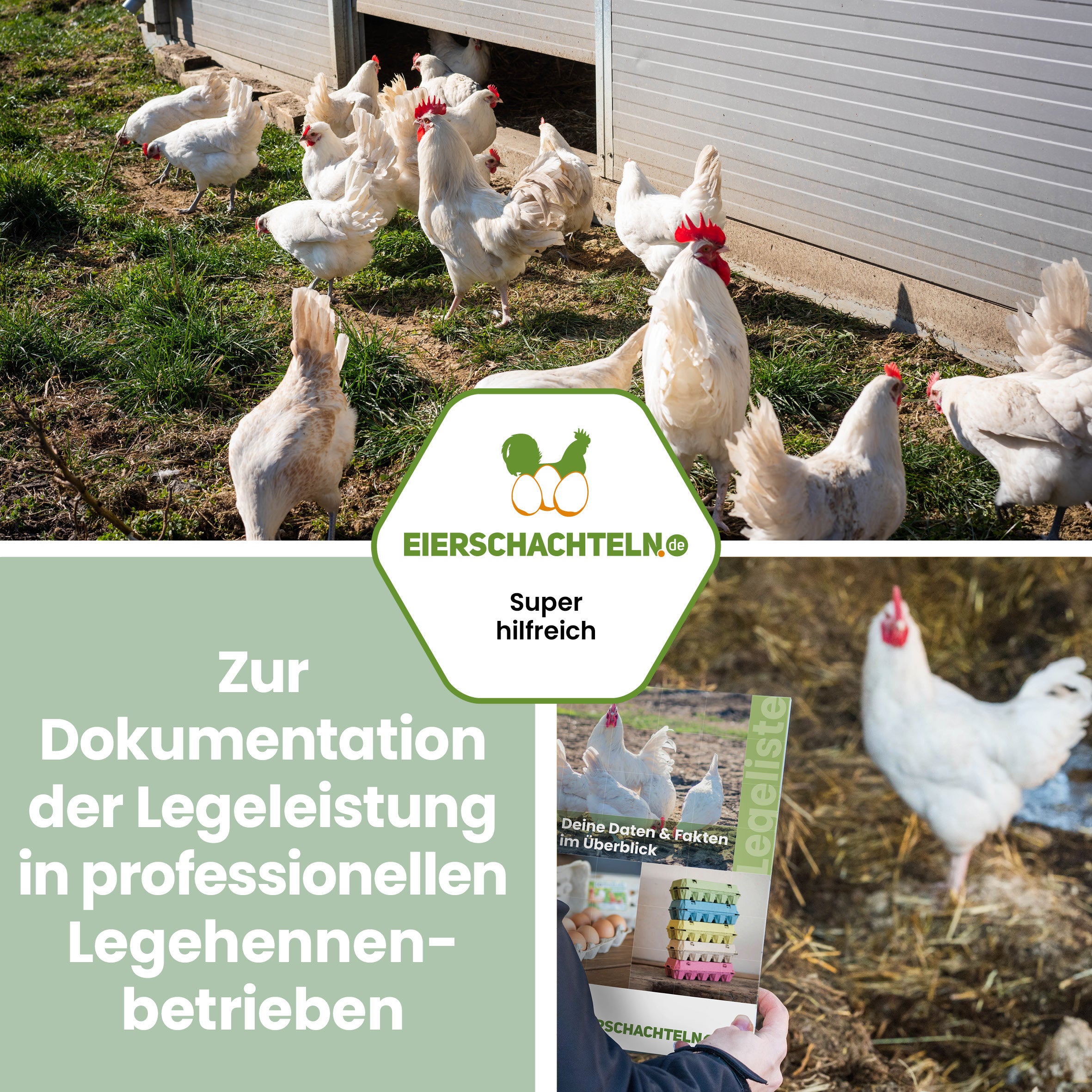 Legeliste – praktische und übersichtliche Broschüre für den Stall