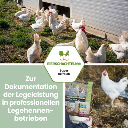 Legeliste – praktische und übersichtliche Broschüre für den Stall