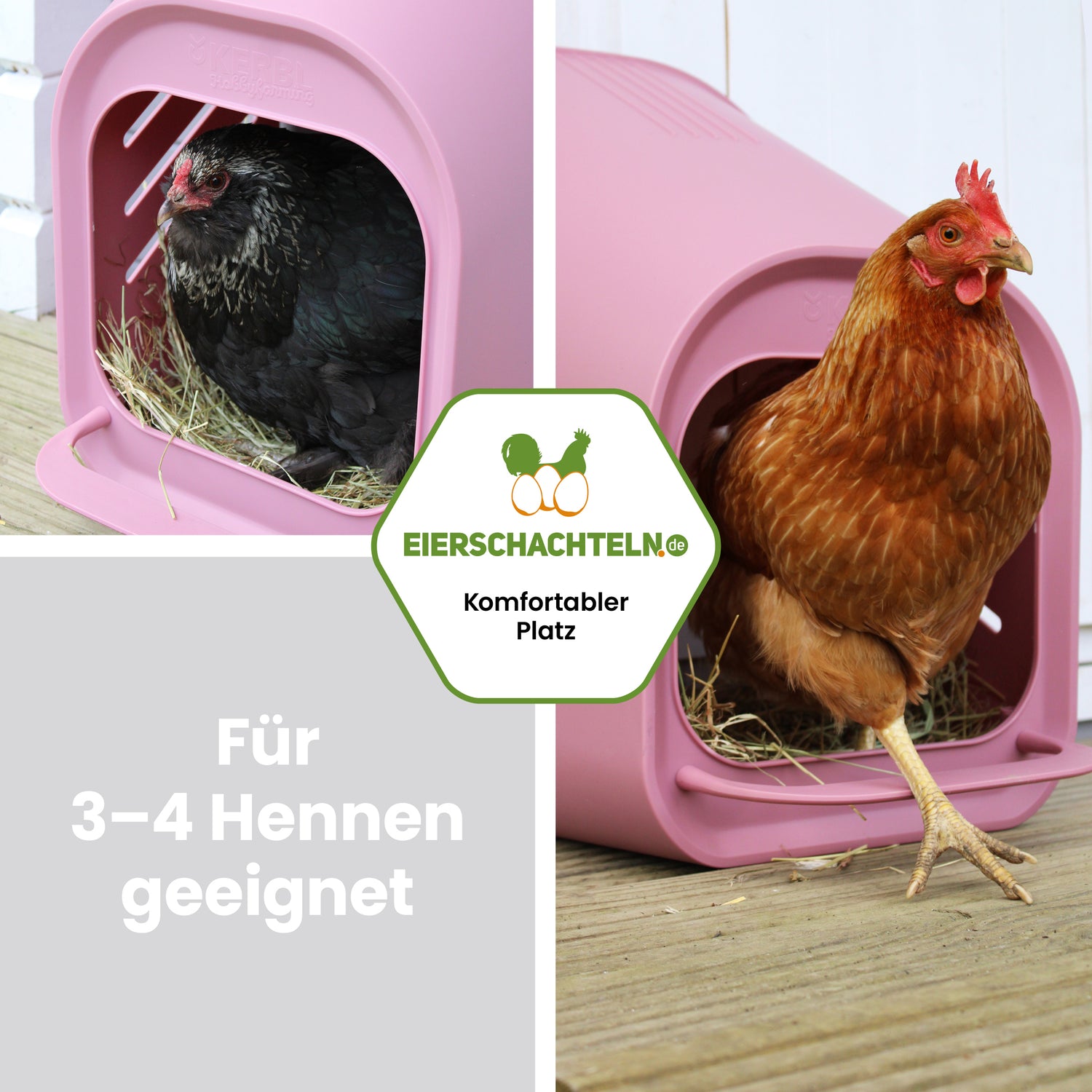 Legenest für Hühner in Rosé "Für 3-4 Hennen geeignet"