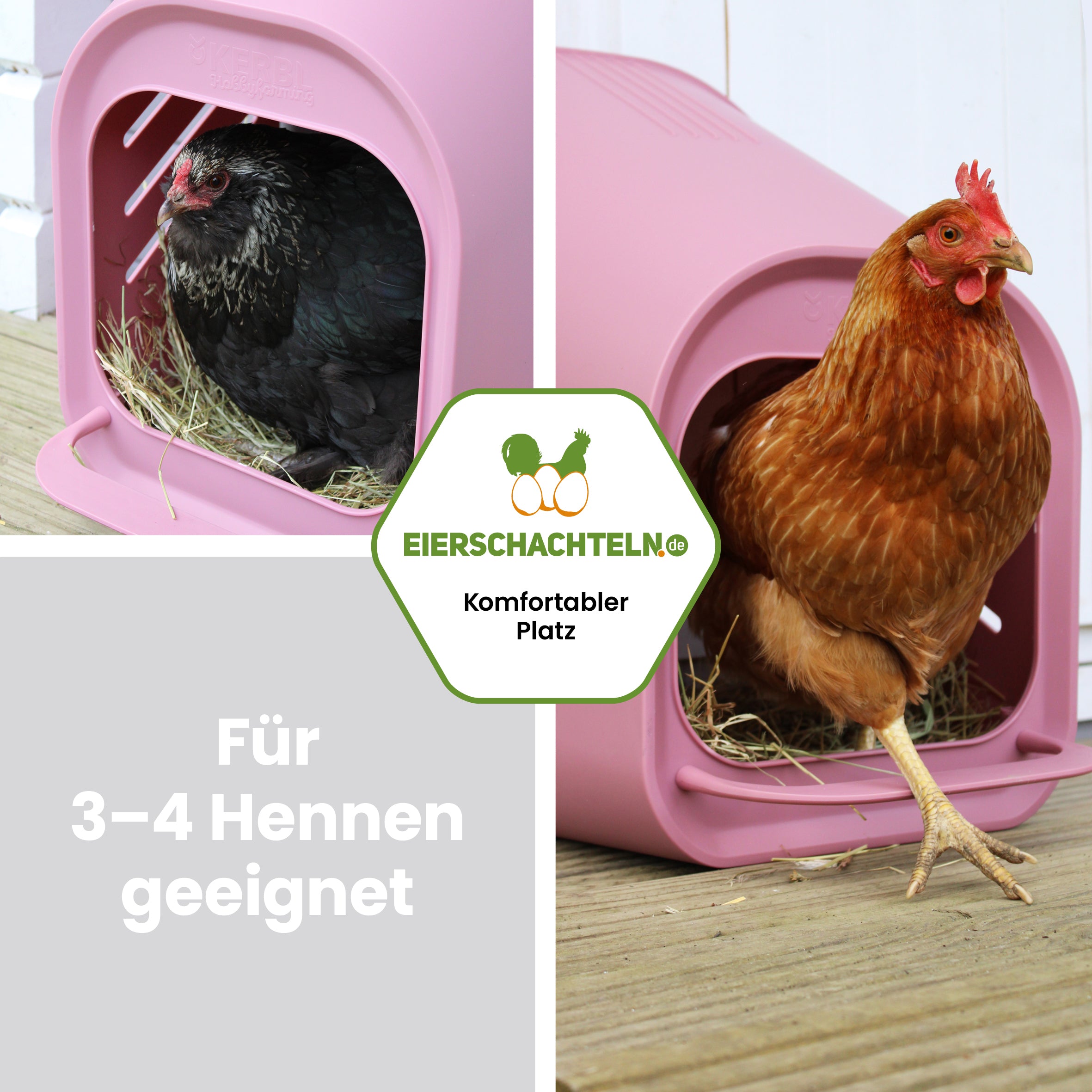 Legenest für Hühner in Rosé "Für 3-4 Hennen geeignet"