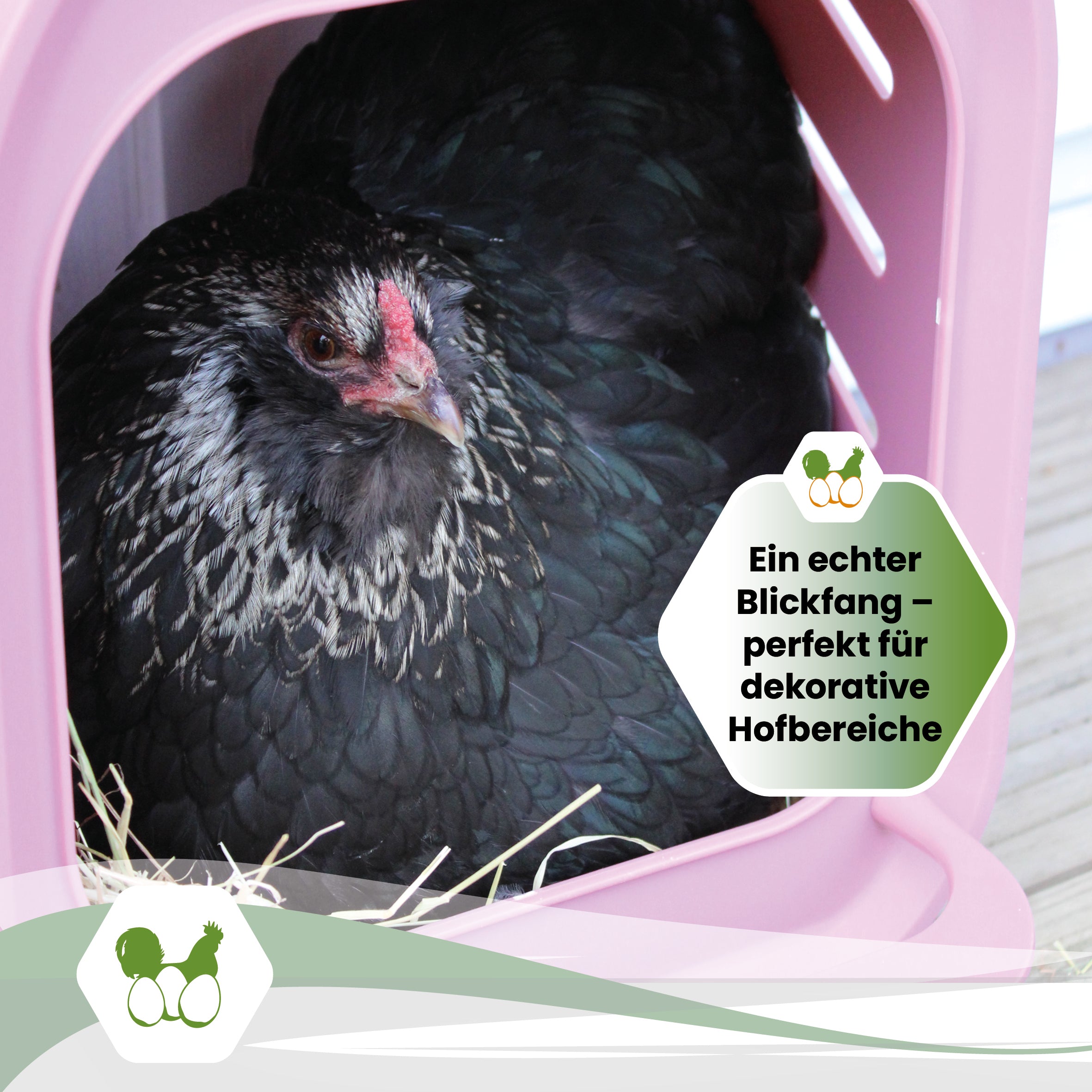 Legenest für Hühner in Rosé "Ein echter Blickfang perfekt für dekorative Hofbereiche" 