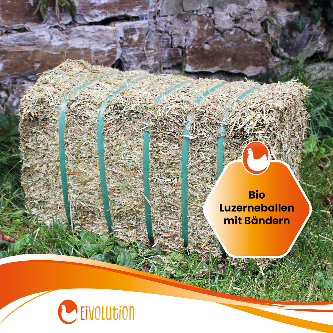 "Bio Luzerneballen mit Bändern" 20 kg, eivolution