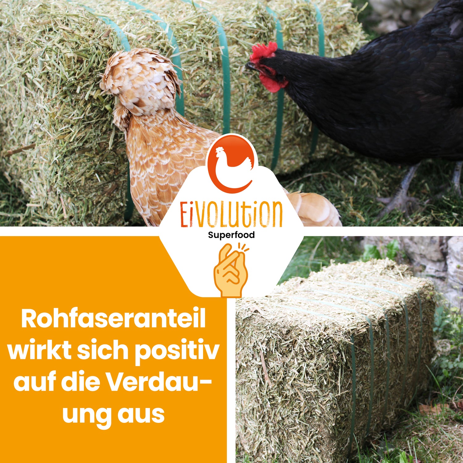 Bio Luzerneballen "Rohfaseranteil wirkt sich positiv auf die Verdauung aus" 