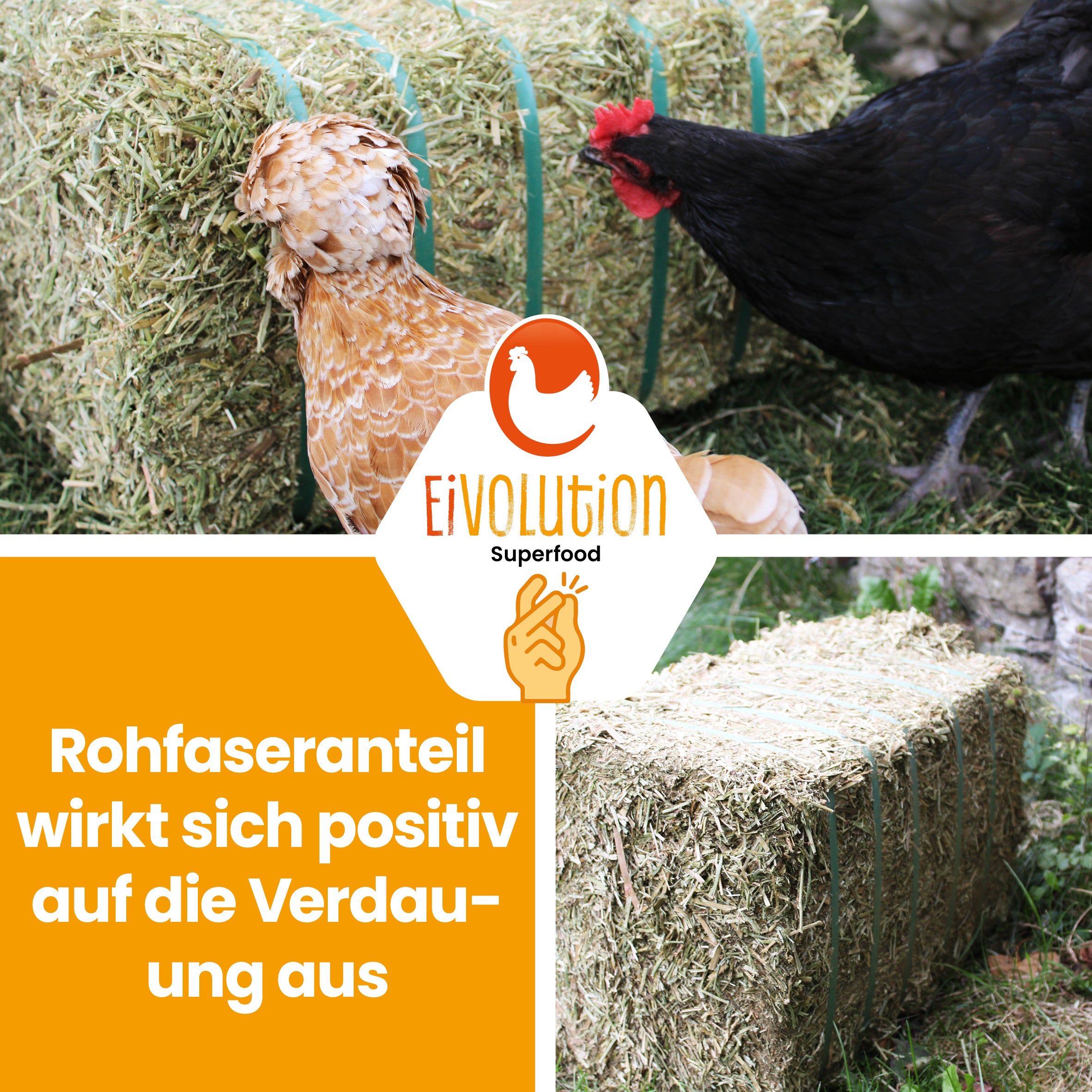 Bio Luzerneballen "Rohfaseranteil wirkt sich positiv auf die Verdauung aus" 