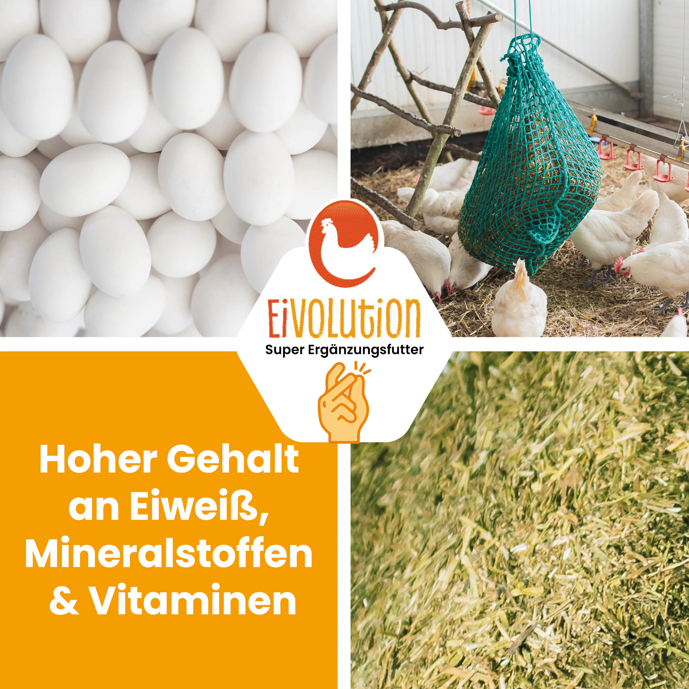 "Hoher Gehalt an Eiweiß, Mineralstoffen &amp; Vitaminen" 