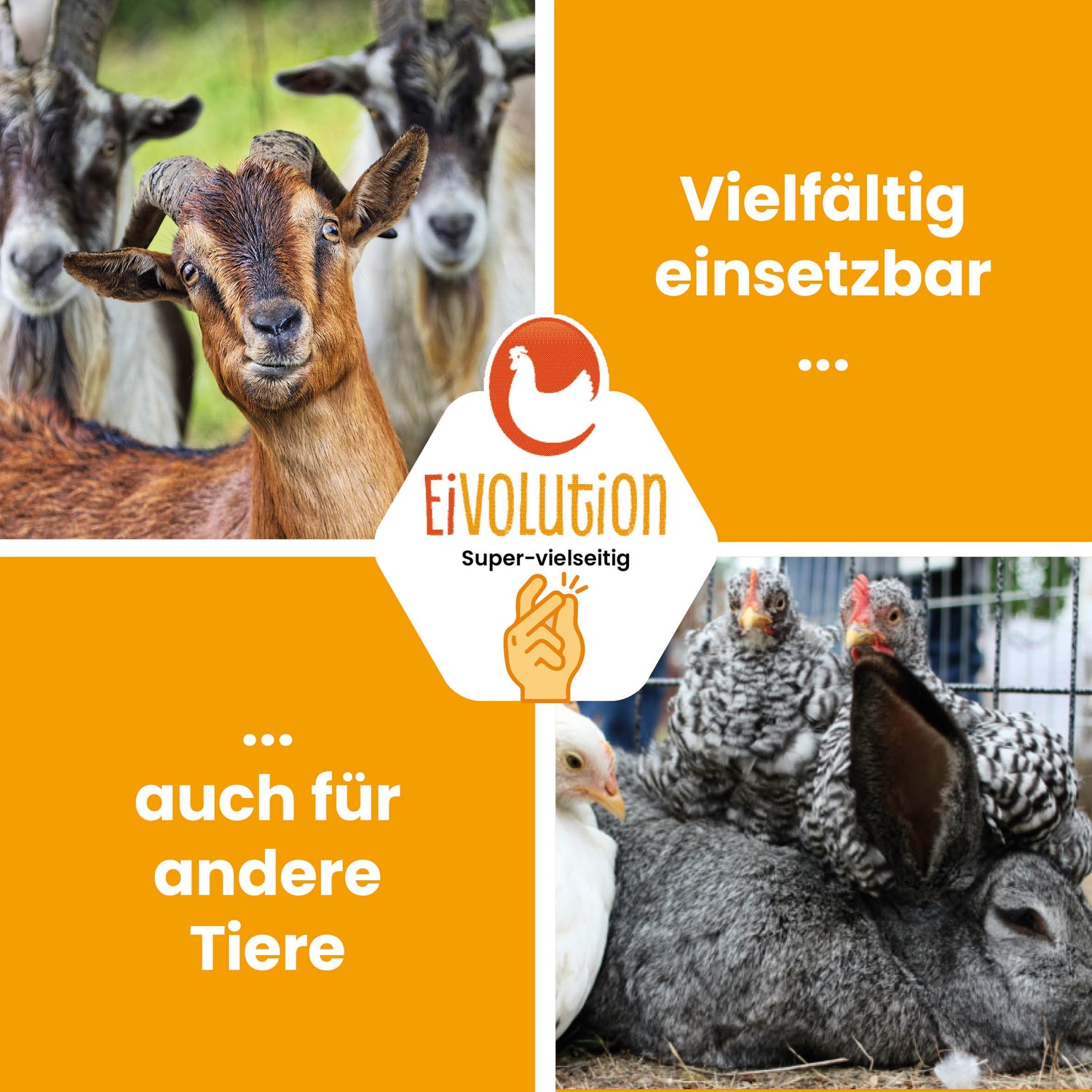"Vielfältig einsetzbar auch für andere Tiere" 