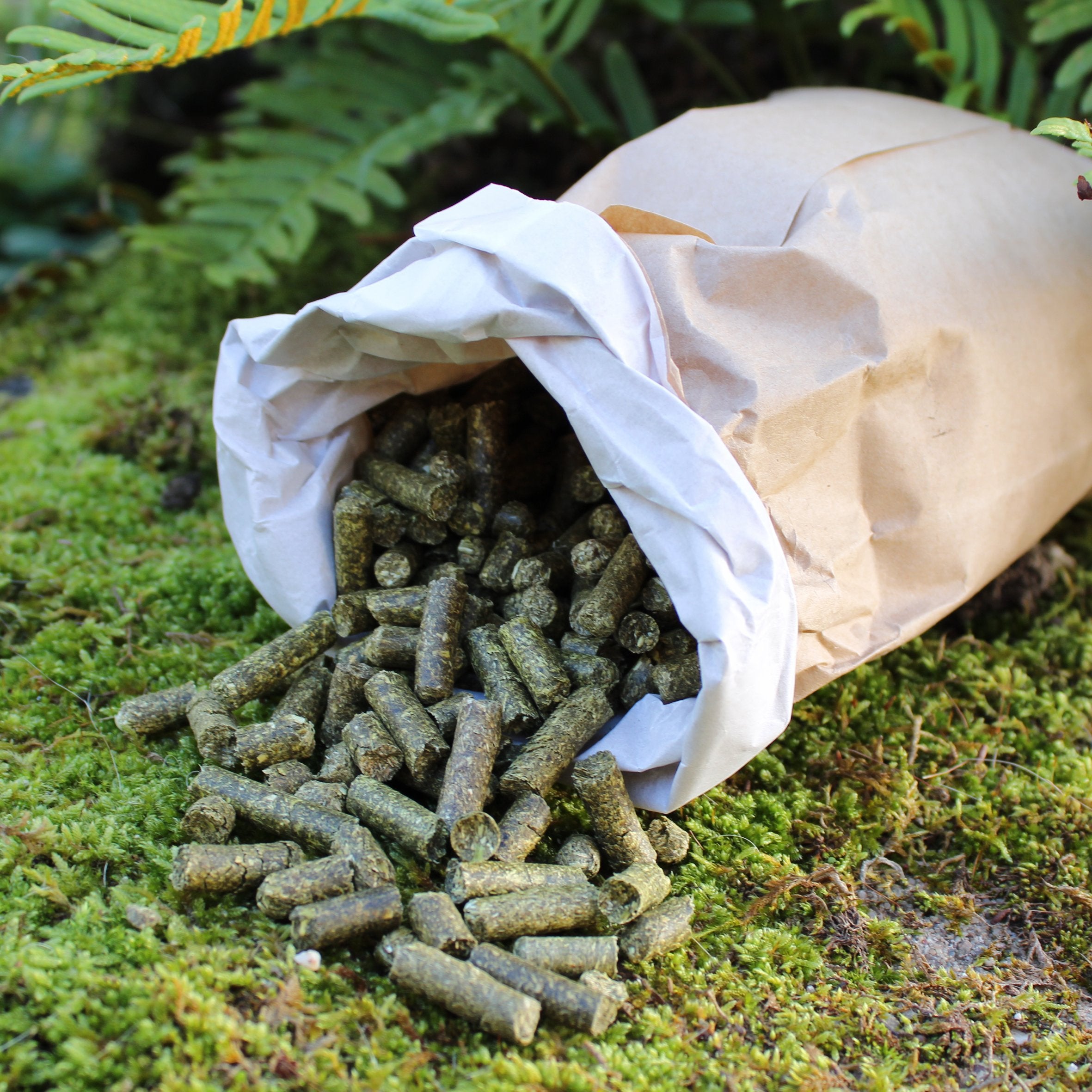 10 kg Bio Luzerne Pellets, im Beutel 