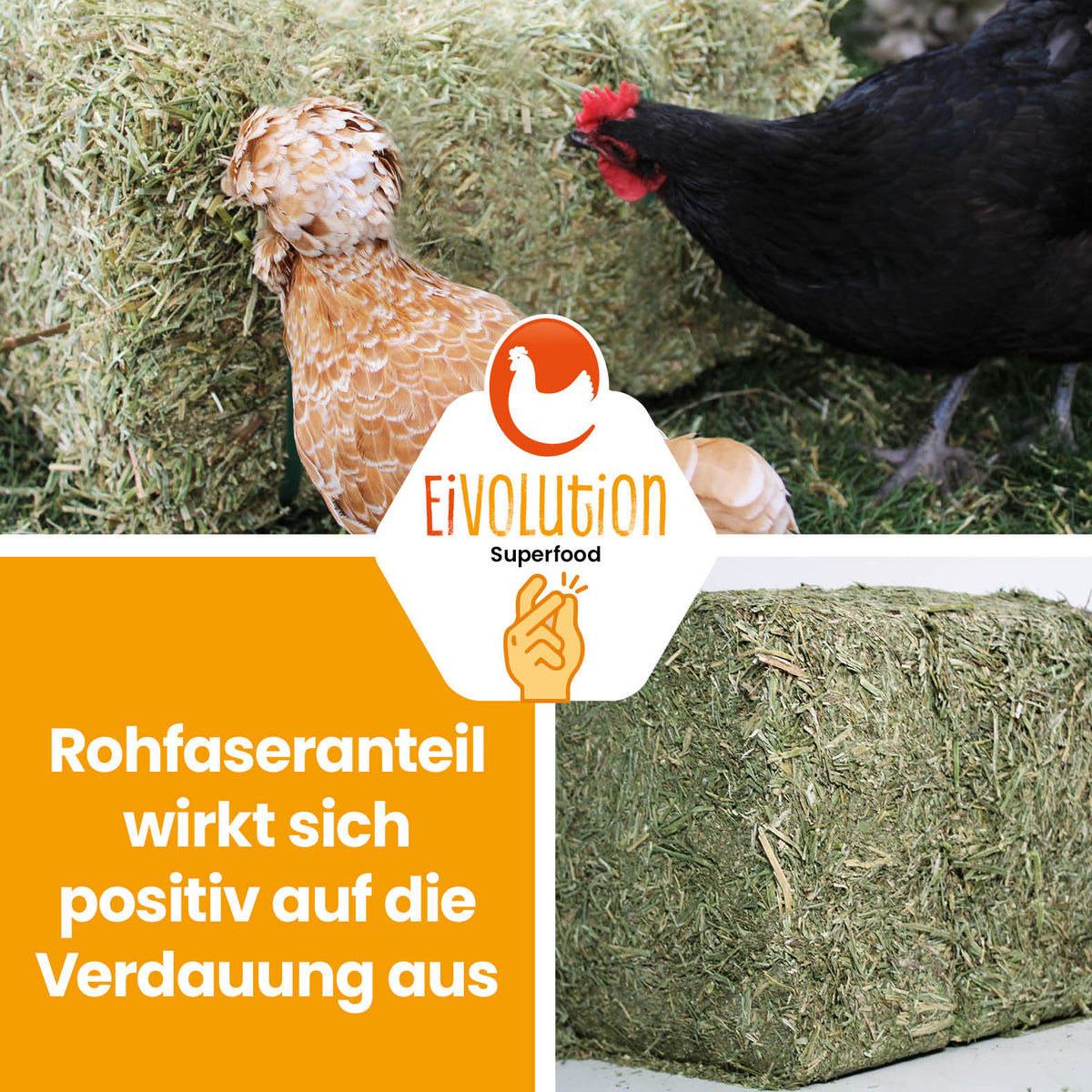 Bio Luzerneballen "Rohfaseranteil wirkt sich positiv auf die Verdauung aus" 