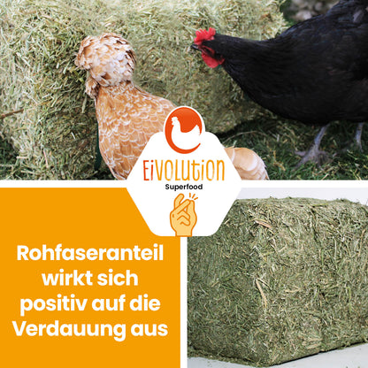 Bio Luzerneballen "Rohfaseranteil wirkt sich positiv auf die Verdauung aus" 