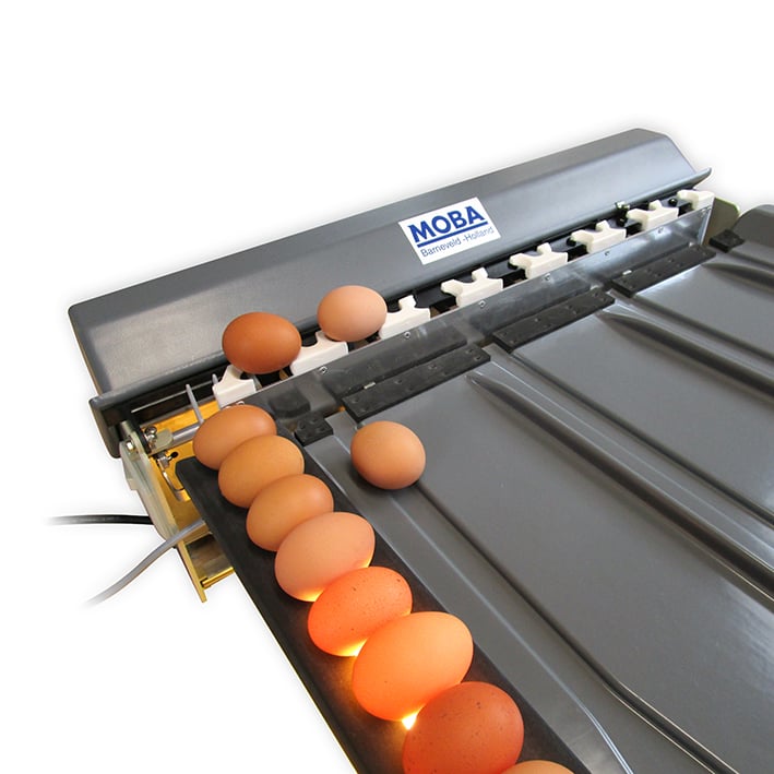 Eiersortiermaschine Mobanette 3, Nahaufnahme Sortierung 