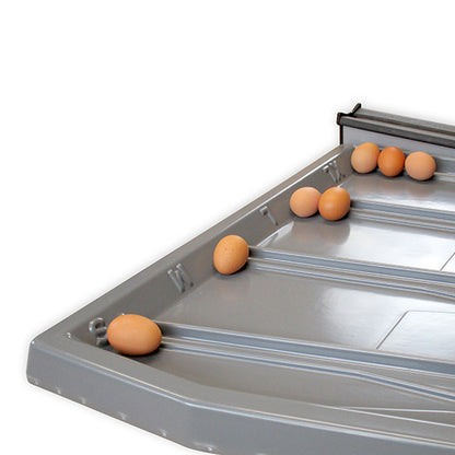 Eiersortiermaschine Mobanette 3, Sortierung