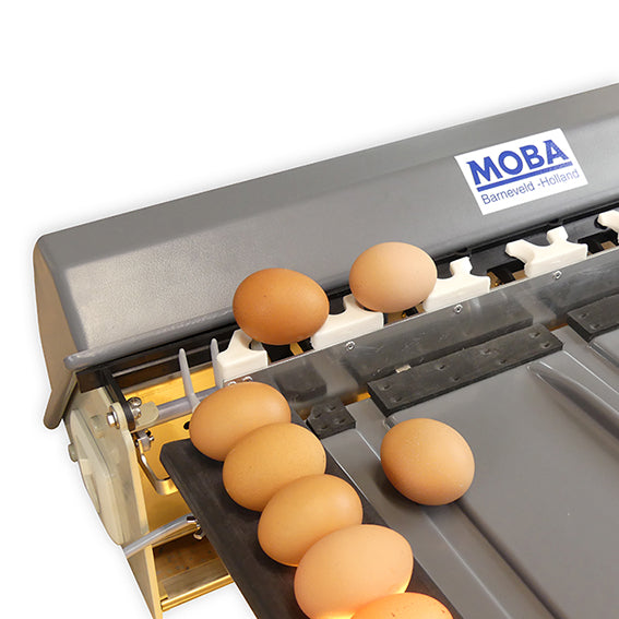 Eiersortiermaschine Mobanette 3