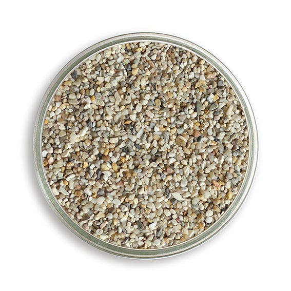 Magenkiesel für Geflügel 2-4 mm, in der Petrischale