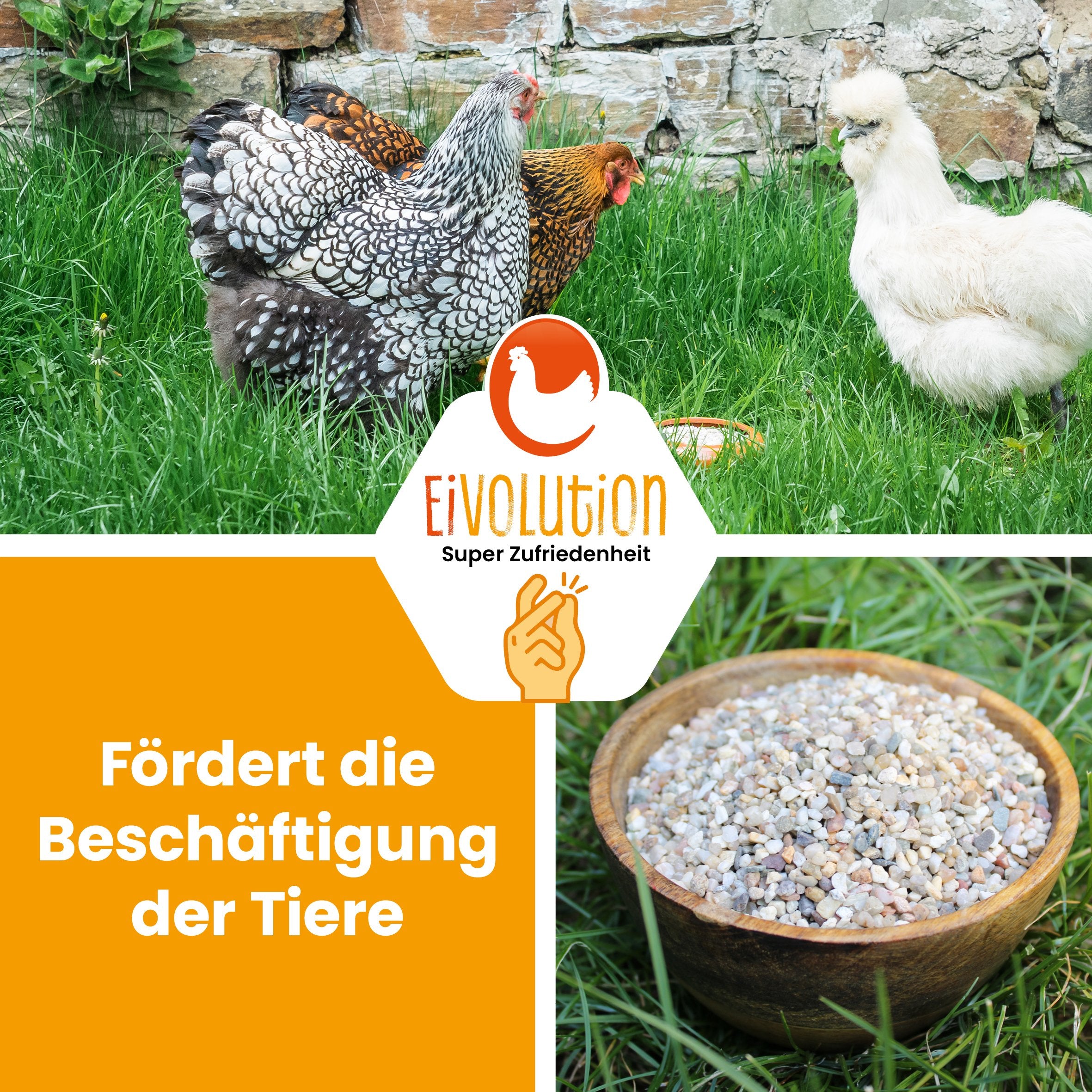 Magenkiesel 2-4 mm, biotauglich für Hühner/Legehennen &amp; Co. "Fördert die Beschäftigung der Tiere"