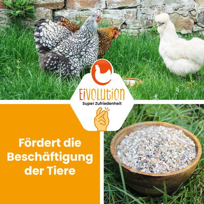 Magenkiesel 2-4 mm, biotauglich für Hühner/Legehennen &amp; Co. "Fördert die Beschäftigung der Tiere"