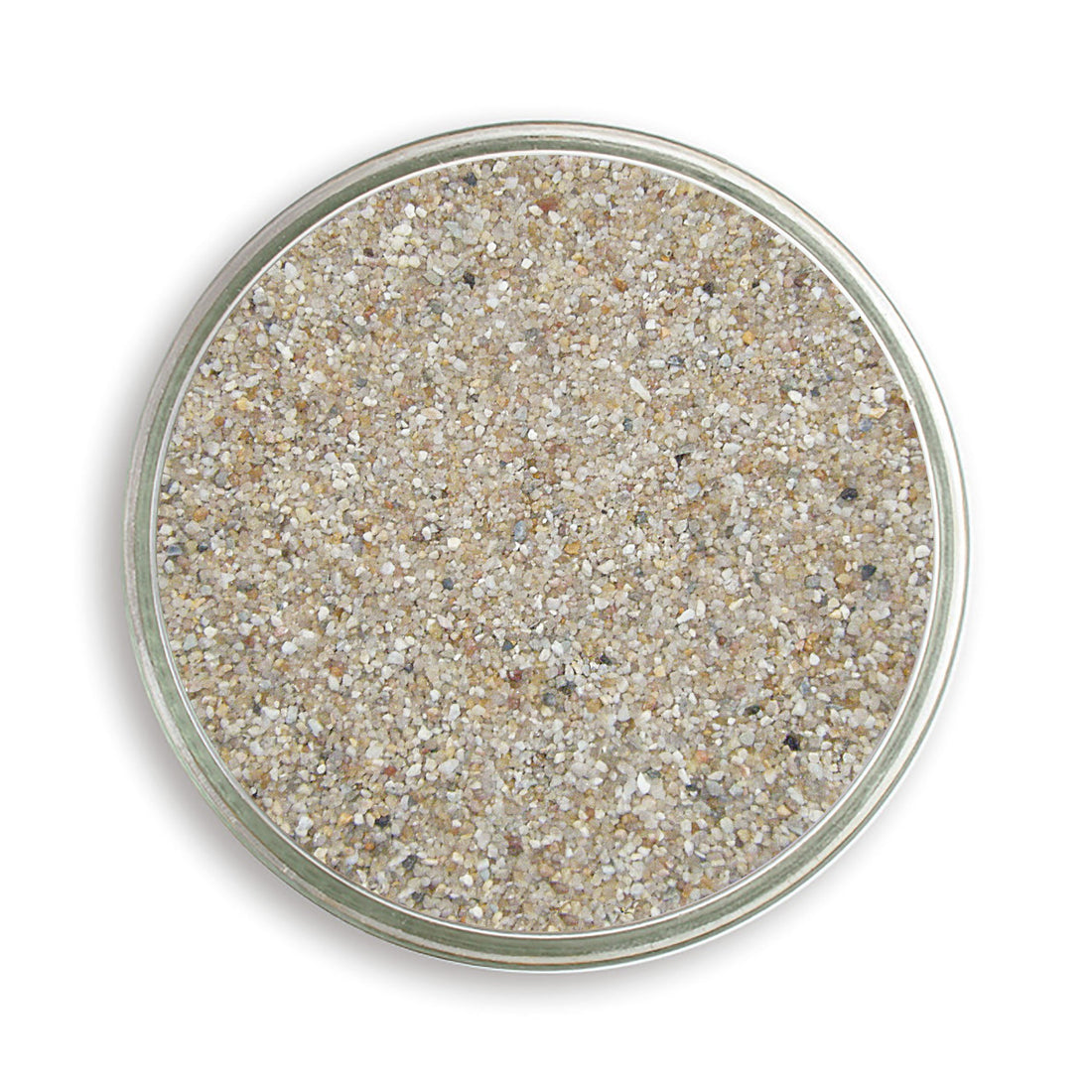 Magenkiesel 1-2 mm, in der Petrischale 