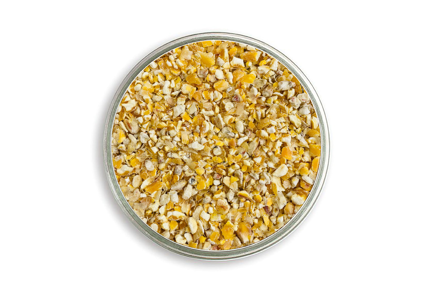 Eivolution Bio-Maisbruch, in der Petrischale