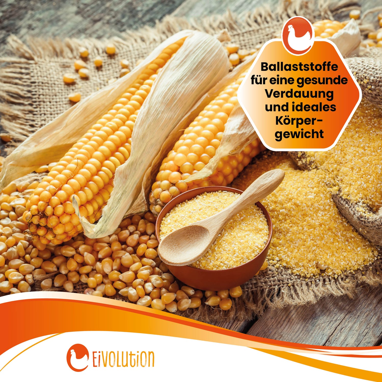 Eivolution Bio-Maisbruch "Ballaststoffe für eine gesunde Verdauung und ideales Körpergewicht"