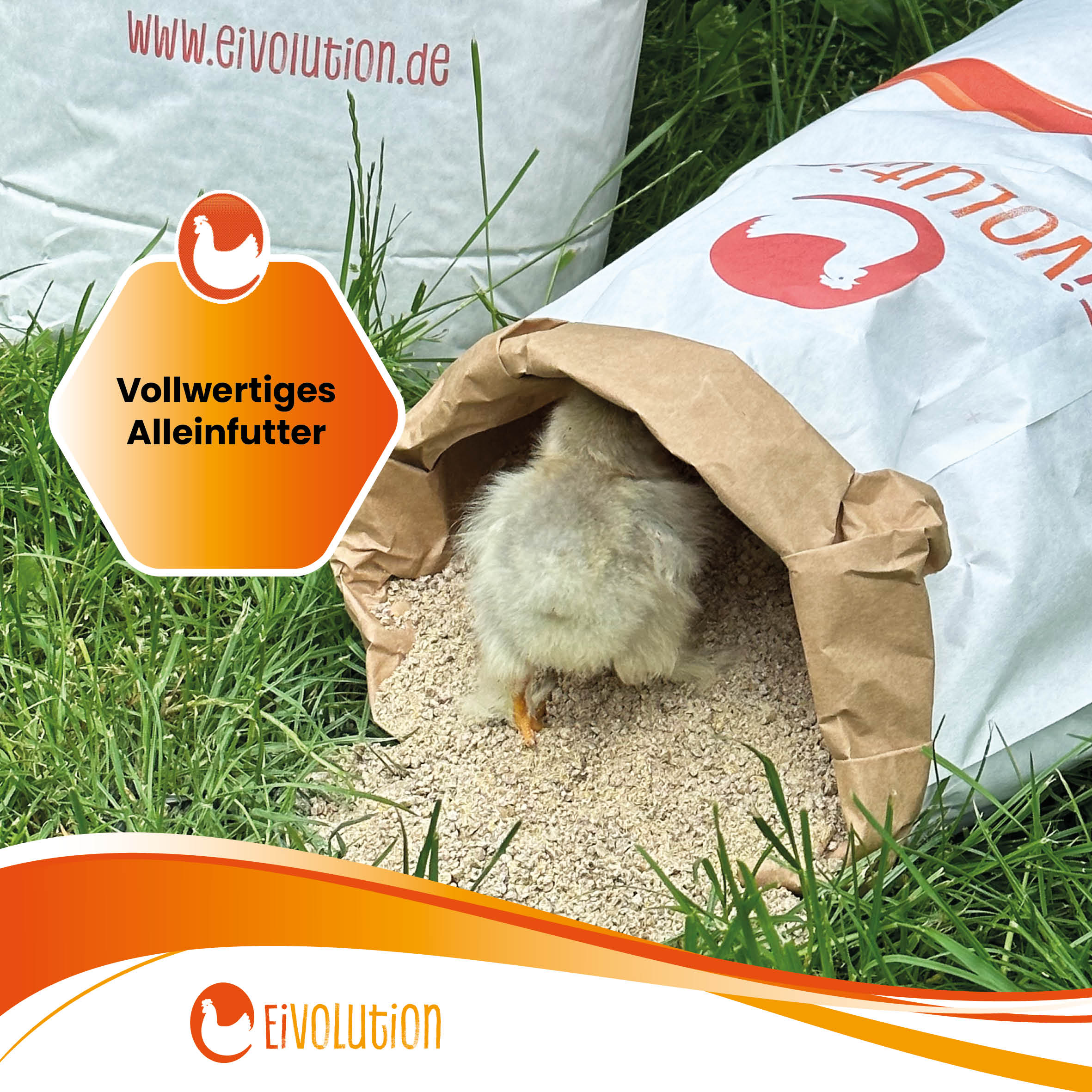 Bio-Aufzuchtfutter / Bio-Mastfutter mit Oregano-Öl "Vollwertiges Alleinfutter" 