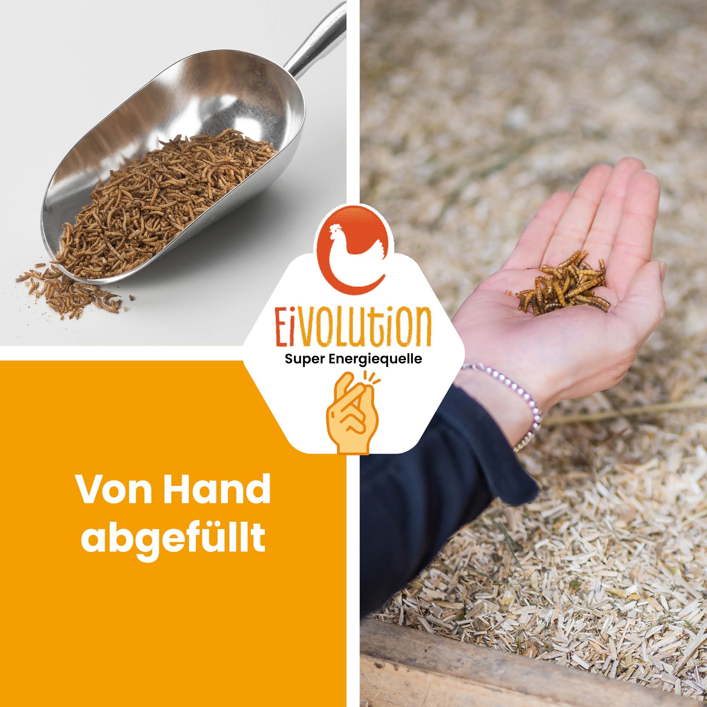 Getrocknete Mehlwürmer "Von Hand abgefüllt" 