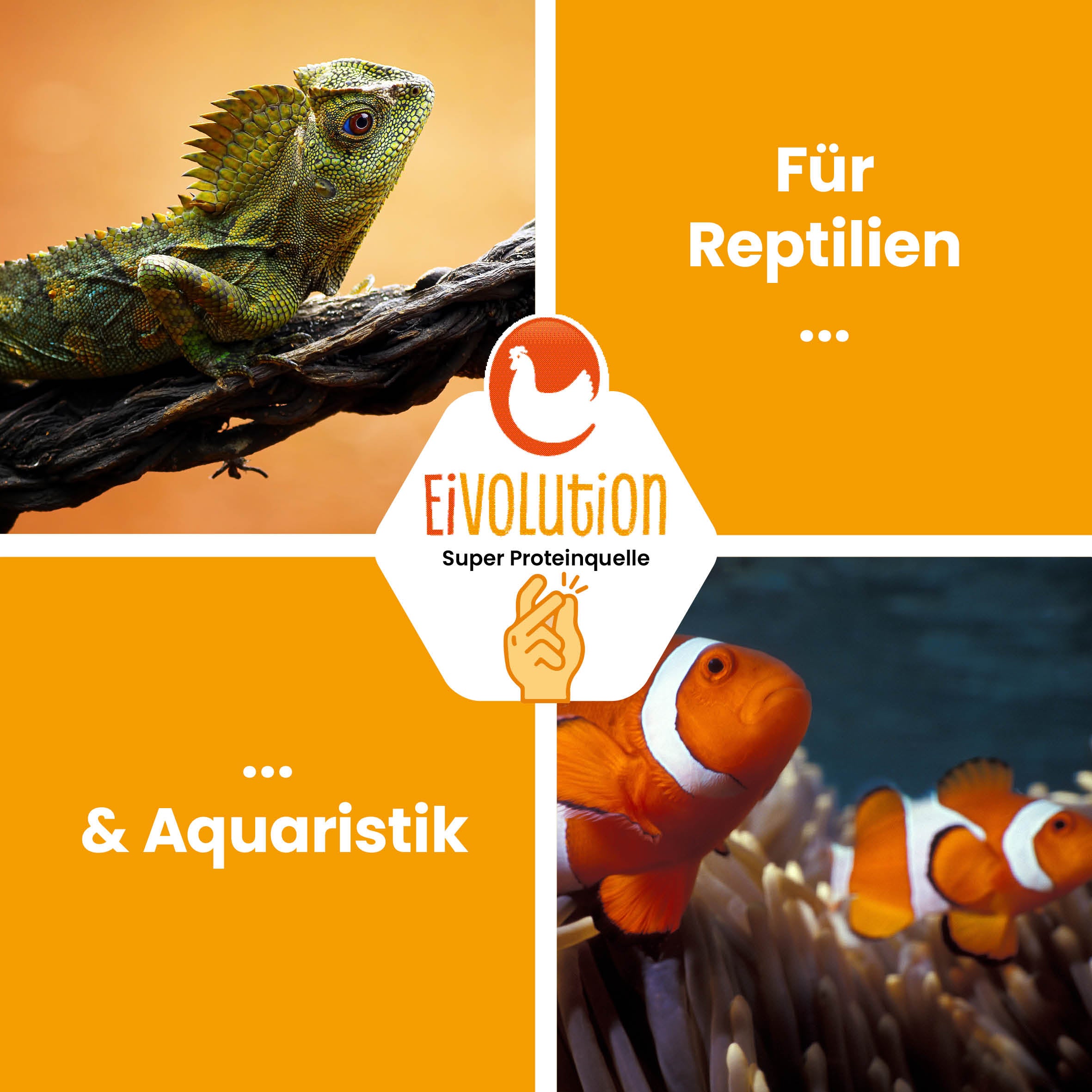 Getrocknete Mehlwürmer "Für Reptilien &amp; Aquaristik" 