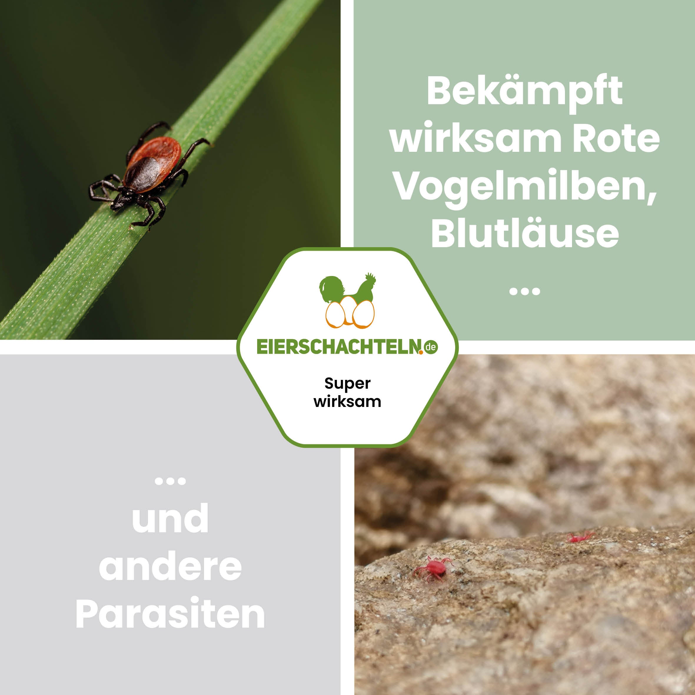 MiClean "Bekämpft wirksam Rote Vogelmilbe, Blutläuse und andere Tiere"