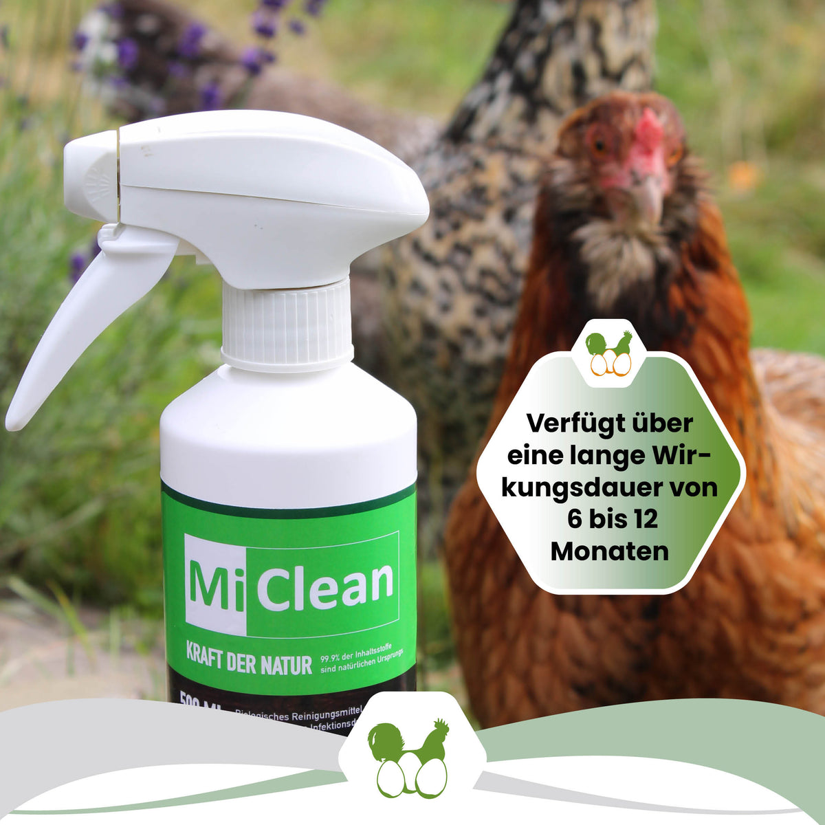 MiClean "Verfügt über eine lange Wirkungsdauer von 6 bis 12 Monaten"