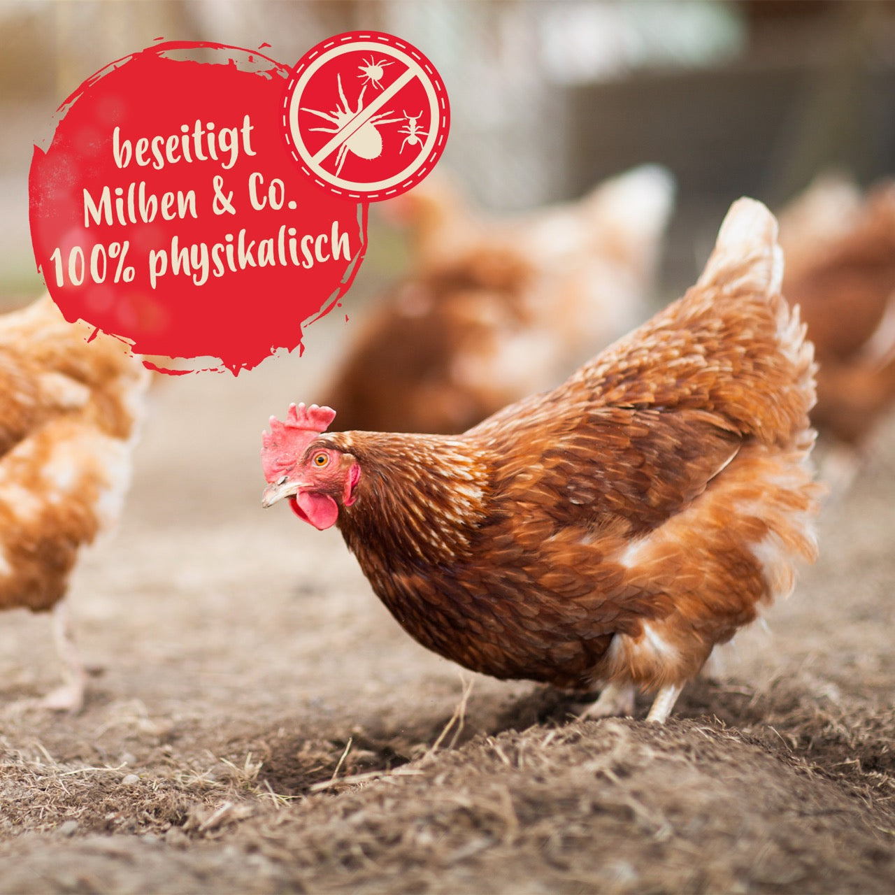 MitePowder "besetitigt Milben &amp; Co. 100% physikalisch"