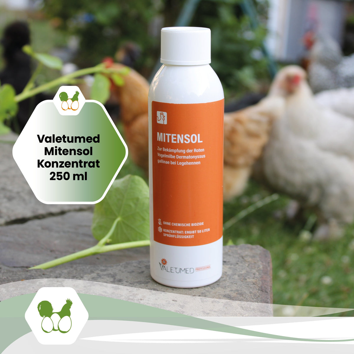 Valetumed Mitensol Konzentrat "Valetumed Mitensol Konzentrat 250 ml"