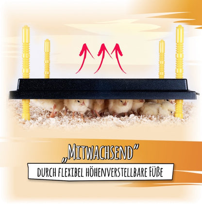 Kükenwärmeplatten in verschiedenen Größen