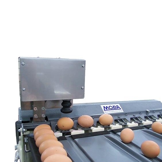 Eiersortiermaschine Mobanette 3 mit Eierstempel, Nahaufnahme Stempel 
