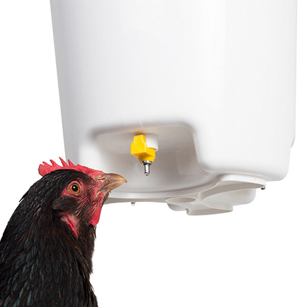 Nippeltränkeimer, mit Huhn 
