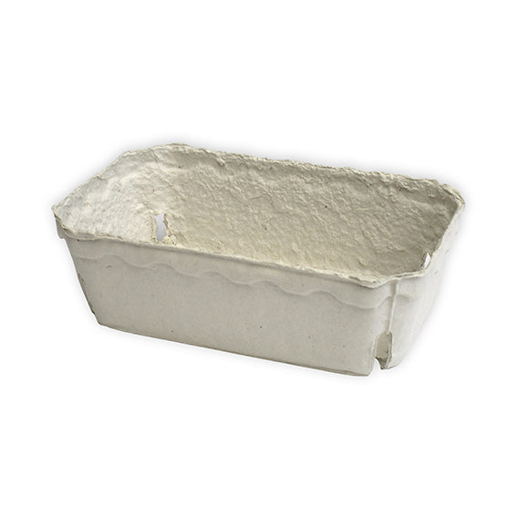 Beerenobstschalen, 250 g 