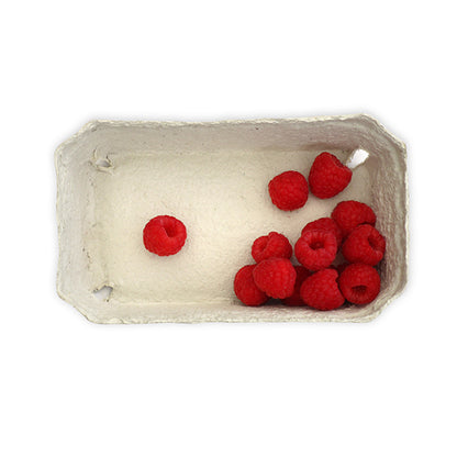 Beerenobstschalen, 250 g, Vogelperspektive mit Himbeeren