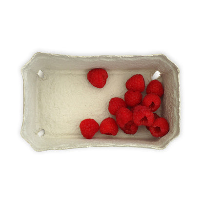 Beerenobstschalen, 1000 g, mit Himbeeren