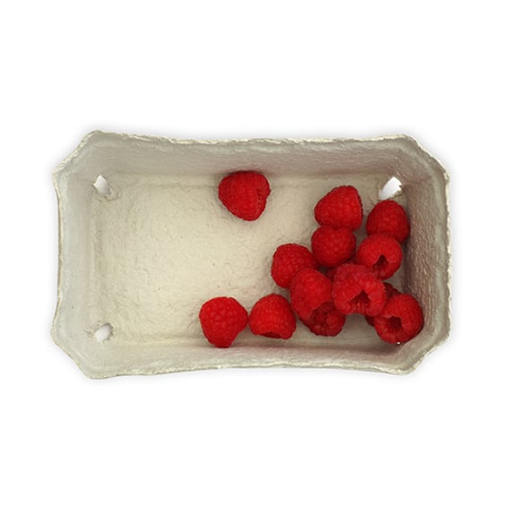 Beerenobstschalen, 500g mit Himbeeren gefüllt