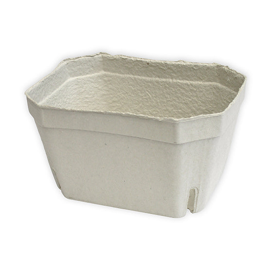 Beerenobstschalen, 1000 g