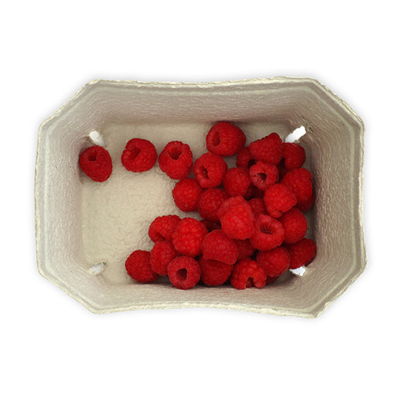 Beerenobstschalen, 1.000g mit Himbeeren gefüllt 