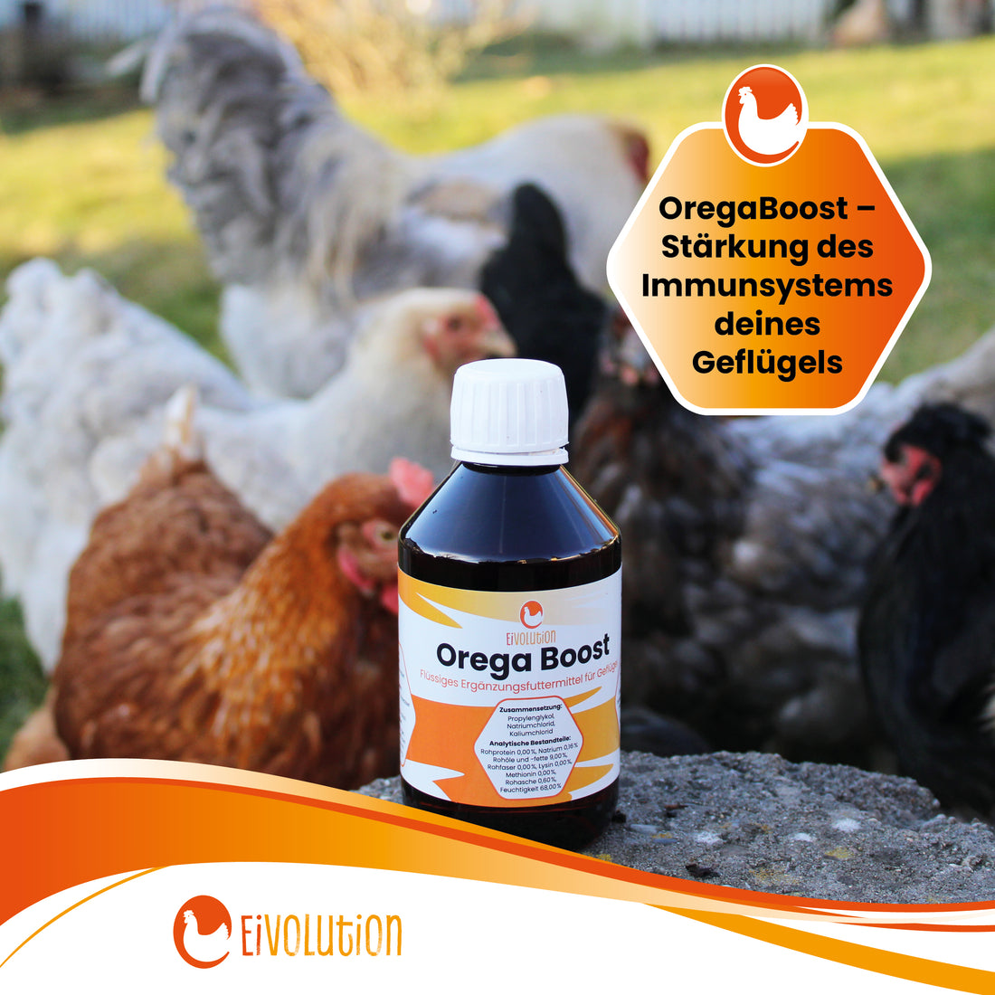 OregaBoost "OregaBoost - Stärkung des Immunsystems deines Geflügels"
