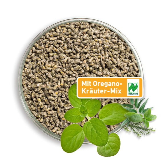 Bio Hühnerfutter Pellets mit Oregano-Kräutermix - Naturland zertifiziert, in einer Petrischale. 
