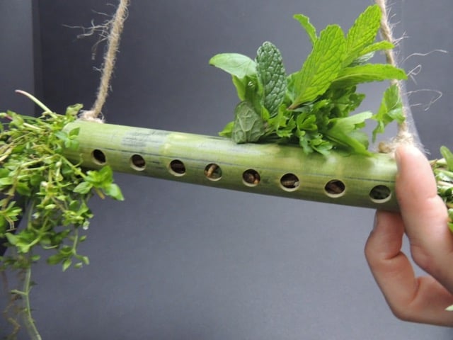 Mehlwurm Pickspaß aus Bambus zur Hühnerbeschäftigung, mit Kräutern 